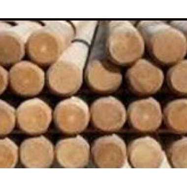 Robinie hegns stolpe