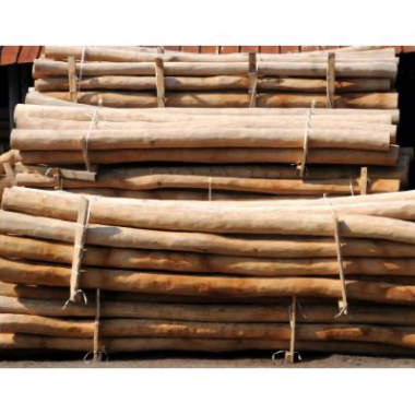 Robinie afbarket og pudset stolper