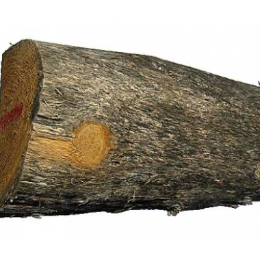 Robinie halve hegnspæle